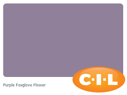 In the paint's specifications, companies may say that the paint is suitable for trim, cabinets, doors, furniture, and windows. Look At This Gorgeous Cil Paint Colour I Found At Cil Ca It 39 S Purple Foxglove Flower 50rb 23 X2f 161 Cil Paint Paint Colors Colours