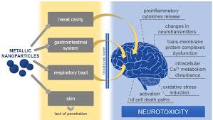 Since midcentury, the church of england's approach to social morality and sexuality has fluctuated between two poles, the traditionalists and the modernists, or the permission givers and the orthodox moral directors. Toxicity Of Metallic Nanoparticles In The Central Nervous System