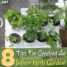 This means that the plants will grow leggy, reaching for the sun. Creating An Indoor Herb Garden