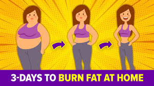 Check spelling or type a new query. 3 Day Easy Workout To Burn Fat At Home Youtube