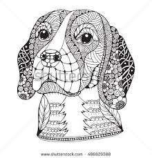 Sled dogs are ready for a long journey. Beagle Dog Head Zentangle Stylized Vector Illustration Freehand Pencil Hand Drawn Pattern Zen Art Ornate Dog Coloring Book Beagle Art Dog Coloring Page