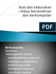 Haiwan yang dapat mencari makanan sendiri. Kebaikan Dan Keburukan Haiwan Hidup Bersendirian Dan Berkumpulan