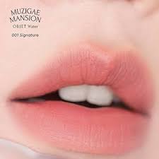 Amazon.com : MUZIGAE MANSION Objet Water Lip Stain Matte Lipstick