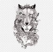 Learn how to draw a realistic wolf. White Wolf Png Images Pngwing