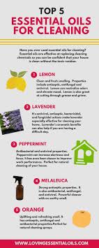 Top 5 Essential Oils For Cleaning Naturally Diy Recipe Essential Oils Cleaning Natural Cleaning Products Essential Oils