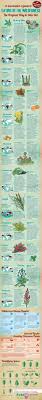 Avas flowers presents you with a list of those flowers along with a brief description of their symbolism. A Survivalist S Guide To Eating In The Wilderness Infographic Wilderness Survival Skills Survival Skills Wilderness Survival