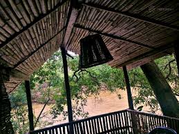 That's why we've compiled a list of the best tree house hotels 'near me' and a great tree house 'near me' right here. Great Tree Houses Over A River Cavery Review Of Nisargadhama Forest Resort Kushalnagar India Tripadvisor