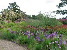 Panoramio Photo Of Piet Oudolf S Garden Design At Trentham 2 Landscape Design Dutch Gardens Garden Landscape Design