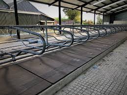 Super Loop Cubicles O Donovan Engineering Cantilever Cow Cubicles Ahir Planlari Ciftlikler Hayvan Barinagi