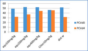 Image result for Gnidia stenophylla