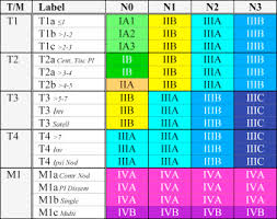 the eighth edition lung cancer stage classification