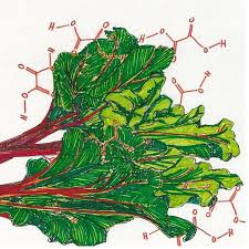 Chinese manhua produced in china. Sayur Manis Delicious But Also Deadly Greens From Borneo The Salt Npr