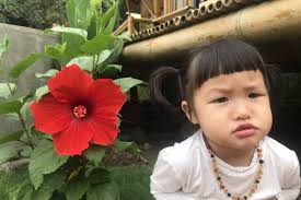 Trang An Lamia Bungalow Reviews, Deals & Photos 2025