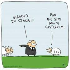 Pin By Grazyna Elohin On Memy Humor Humor Funny Comics
