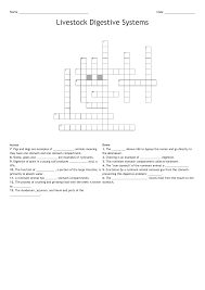 Livestock Digestive System Crossword