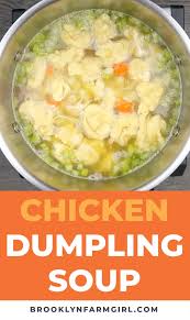 Shredded Chicken Dumpling Soup Video Recipe Video Chicken Dumpling Soup Chicken Dumplings Recipe Dumplings For Soup