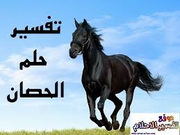 تفسير ركوب الخيل في المنام ورؤية الحصان الاسود أو الابيض في المنام