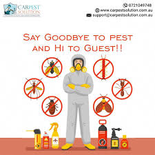 Use the best pest control companies to get rid of unwanted bugs, rodents and reptiles, both inside and outside your home or business. Pest Control Services Termite Control Pest Control Best Pest Control