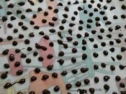 Pepites De Chocolat Fait Maison Et Pas Cher De Sousou Top Delices Recette En 2020 Chocolats Faits Maison Pepite Chocolat Chocolat