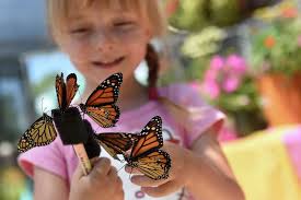 Fair season in the Capital Region