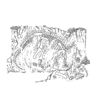 The fossil coloring pages have all been been placed in the fossil watch 251011 categories. Fossil Coloring Pages Surfnetkids