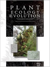 Image result for Rhipidoglossum globulosocalcaratum