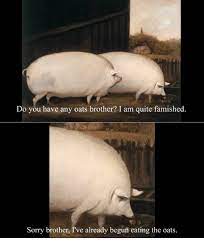 25 Best Oats Brother Memes Hulk Hogan Memes Pig Memes