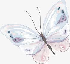 Butterfly Butterfly Material Hand Painted Butterfly Watercolor Butterfly Butterfly Watercolor Butterfly Art Butterfly Clip Art