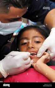 Dentist provides dental patient hi-res stock photography and images