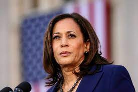 Can Kamala Harris help Democrats regain lost Black votes? | US Election  2024 News | Al Jazeera