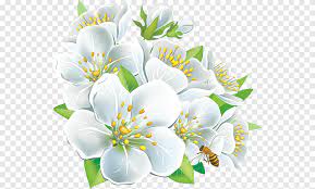 Apakah anda mencari gambar desain bunga mawar hitam dan putih template psd atau file vektor? Nature S Archives White Flower Art Png Pngegg