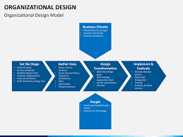 Organizational Design