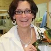 Ullrich Family Obituaries