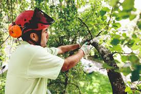 Wisag sicherheit & service nordwest gmbh & co. Presse Facility Wisag