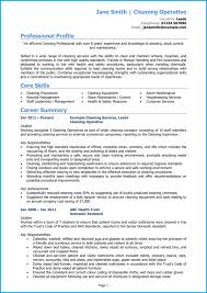 Resume format choose the right resume format for your needs. Cleaner Cv Example And Writing Guide Get Noticed By Employers