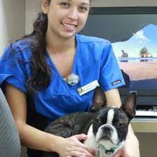 Indulge your desire for elegant living at sage stone! Veterinarians In Sun City Yelp