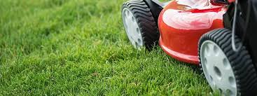 Our videos and blogs are filled with insights from years of experience helping all sorts of lawns and landscape grow healthy and. Scotts Lawn Care Products And Trugreen Services