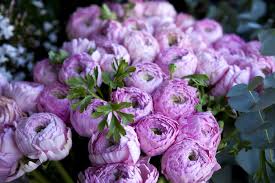 Check spelling or type a new query. Japanese Flower Meanings Flower Meaning
