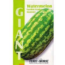 The taste isn't extremely surprising or anything, but it's a really good tomato to eat. Ferry Morse Giant Garden Leader Monster Watermelon Seed 2142 The Home Depot