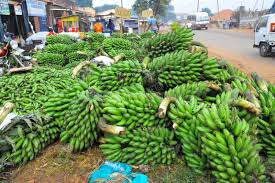 Image result for matooke