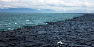 Creating and delivering the world's finest aviation experience. What Is The Gulf Stream Quora
