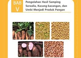 Pengawetan fisik, pengawetan biologis, dan pengawetan kimiawi. Amatilah Gambar 5 1 Gambar Di Atas Menunjukkan Aneka Jenis Serealia Kacang Kacangan Dan Umbi Brainly Co Id