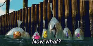 Now What Nemo Gifs Tenor