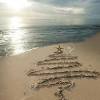 Beach christmas decorations nzs srbija. Https Encrypted Tbn0 Gstatic Com Images Q Tbn And9gcs4elrldx Runwynfaczvyexu8xkoqojlul7crtgseswkpdhdon Usqp Cau
