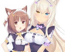 digital anime cute azuki and coconut pixiv 猫耳 猫 アニメ アニメの女の子