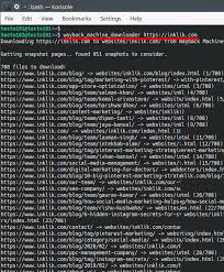 At this point, im assuming that you already have your own wayback machine url snapshot. How To Download Entire Website From Wayback Machine