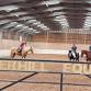 Parelli Level 1 course with Rachel Shawyner event image