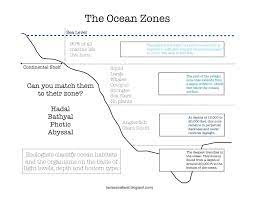 Here S A Nice Printable On The Ocean Zones Answer Key Can Be Found At Http 2 Bp Blogspot Com Gl8yyvnjqn8 Utn4awk Ocean Zones Kindergarten Worksheets Ocean