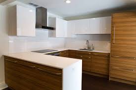 Our zebra wood enclosure frames the asus tinker board's elegance, while keeping it safe and leaving access to the gpio pins. Zebrawood Kitchen Remodel In Rochester Ny Concept Ii