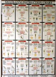 Multi Gym Workout Chart